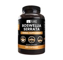Saf Original Malzemeler Boswellia Serrata (365 Capsules) Magnezyum Or Rice Fillers, Her zaman Pure, Lab Onaylandı