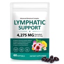 Lymphatic Support Supplement 60 Softgels– Advanced Botanical Complex with Echinacea, Dandelion & Elderberry – Antioxidant-Rich Daily