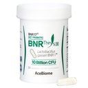 BNRThin S30, Lactobacillus Gasseri BNR17, 10 Milyar CFU Garantili, 30Capsules