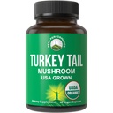 Peak Performance Organic Turkey Tail Capsules - USA Grown Real Turkey Tail Mushroom ile yapıldı. Immune System Support Natural Harvested Mushroom Supplements for Immunity. Vegan Supplement Extract