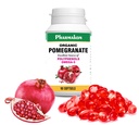 PHARMAKON Organik Pomegranate Ekstraksiyon, Yüksek Biyo kullanılabilir Softgels, Full Spectrum Contains Polyols + Omega 5