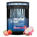 Animal Creatine HMB Powder – 3g myHMB + 5g Creatine with Electrolytes for Recovery & Daily Energy – Dragon Berry Flavor, 30 Servings