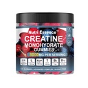 Creatine Monohydrate Gummies, Sugar Free Advanced Complex, 8000mg with BCAA, L-Carnitine, Taurine, B6, B12, 120 Count