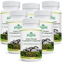 Aktif Hexose Corlev bileşikler 1500 mg Supplement, Natural 8 Mushroom Extract Supplement, Immune System, Liver Function, Natural Killer ve T Hücreler Aktivitesi, 540 Veggie Capsules