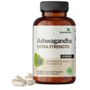 Futurebiyotiks Ashwagandha Ekstra Kuvvet Stres & Mood Support with BioPerine - Non GMO Formula, 100 Vegetarian Capsules
