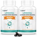 Yagabay Liposomal NAD+ 500 mg, Yüksek Aborpsiyon, TMG 250 mg ile NAD+'yı güçlendirin, Actual NAD Plus Nicotinamid Riboside'dan daha verimli, Destek Hücreleri Enerji, Sağlıklı Ağlama | 120 Softgels