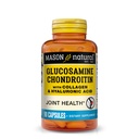 MASON NATURAL Glucosamine Chondroitin with Collagen & Hyaluronic Acid, 45-Day Supply Capsules for Normal Ortak, Hareketlilik, Flexability, & Aging Support, 90 Capsules