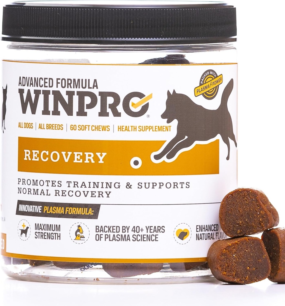 Köpekler için kurtarma Chews, Plazma- Aktif Köpekler için Güçlendi, Immune System Support ve Dog Training Support for Competition and Sport Muscle Recovery and Agtitude, 60 Count in USA
