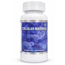 Celulas Madres Stem Hücre Geliştirmer