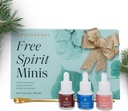 Apothékary Free Spirit Minis Set | New Edition, Herbal Liquid Drops, Includes Wine Down, Rosé-Tinted Glasses, Take The Edge Off & 1 Gold Spoon, Sugar Free, 3 Bottles,15 Servings per Bottle