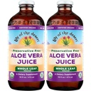 Lily of the Desert Aloe Vera Juice, Whole Leaf Filtered 2-Pack, Organic & Preservative Free – Natural Vitamins, Digestive Enzymes for Gut Health, Glowing Skin & Wellness, 16 Fl Oz Ea