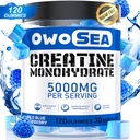 Erkekler ve Kadınlar için Kre Support Energy Boost 120 Kont Chewable 5gtine Supplement Sugar Free Vegan (1 Pack, Blue Raspberry) için servis başına 5000 mg Kreatine Monohidrat