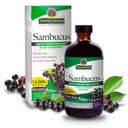 Nature's Answer Alcohol-Free Sambucus Black Elder Berry Extract, 8-Fluid Ounces (Pack of 3)