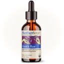 Motherlove Goat'ın Rue (2 Ounce Tincture) Meme Tound Development & Blood Milk Supply Optimizasyonu için Lactation Supplement -USDA Sertifikalı Organik, Vegan, Kosher, Soy-Free