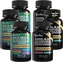 Boysea. Shilajit ve Sea Moss Sche- 90 Count - Sea Moss, Black Seed Oil, Ashwagandha, Ginger & Shilajit, Rhodiola Rosea, All in 1 Supplements (3 Adet)
