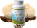 Mushroom Science Lions Mane Mushroom Capsules, Memory & Concentration Support, Full Spectrum Extract, Mushroom Supplement for Yetişkinler, Hot Water Extracted Mushrooms, Vegetarian, 300MG, 90 ct