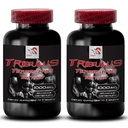 Daily Energy Boost - TRIBULUS TERRESTRIS Extract - Pure Energy Support, Strength, Active Lifestyle Support, Natural Muscle Support, Activity Power, Energy, Active Body Support 2 Bottles 180 Tablets