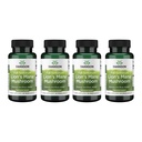 Swanson Full Spectrum Lion's Mane Mushroom - Brain Health Supplement to Support Memory, Focus & Clarity* - Ayrıca Yardım Immune, Heart & Digestive Health - Gluten-Free & Non-GMO - 60 Capsules (4 Pack)