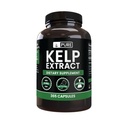 Saf Original Malzemeler Kelp Ekstraksiyonu (365 Capsules) Magnezyum Or Rice Fillers, Always Pure, Lab TY