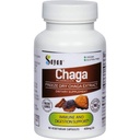 Sayan Sibirya Chaga Mushroom Extract - 90 Capsules /420 mg ea - Natural & Wild-Harvest Antioksi Supplement – Immune System Support & Regulate Body Functions – Vegan, Non-GMO, No Fillers veya Katkılar