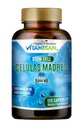 Celulas Madres AFA Stem Natural Hücre 120 Capsules 1000 mg Blue Green Algae Non GMO Gluten Free Aphanizomenon Flos-aquae celulala Madre Ylement
