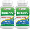En İyi Doğallar Berberine 500 mg 120 Capsules - Destekler Immune Function, Cardiovascular & Gastrointestinal Function (120 Count (Pack of 2))