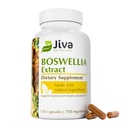 Jiva Botaniks Boswellia Extract Capsules 700 mg per Service - Boswellia Serrata Extract Supplement & Black Pepper - Normal Ortak Sağlık için Ortak Destek Supplement - 120 Capsules (Pack of 1)