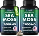 Sea Moss Capsules - İrlandalı Deniz Moss Burdock Root ile Gelişmiş, Immunity, Gut, & Energy - Superfood Sea Moss Supplements w/Raw Sea Moss Toz (2 Pack)