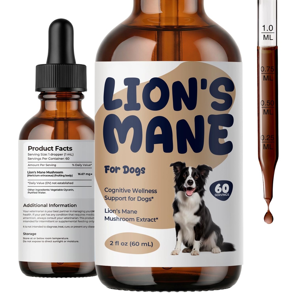 Lion’s Mane Mushroom Drops for Dogs, Cognitive Wellness & Focus Support, Lion’s Mane Fruiting Body Liquid Supplement for Senior Dogs, Daily Mental Alertness & Nervous System Support, 2 fl oz (60 mL)
