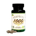 GREENBOW Propolis 1000 mg NonGMO Organik Propolis 60 Capsules VEGAN CAPSULES