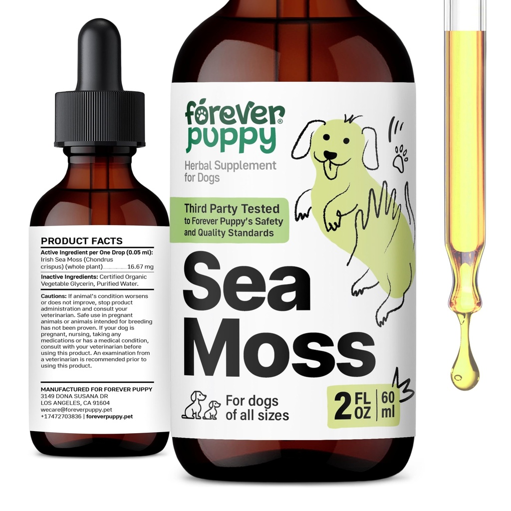Forever Puppy Irish Sea Moss Drops for Dogs - Thyroid Support & Energy - Nutritional Drops with Liquid Seamoss Extract - Dog Vitamins and Supplements for All Breeds & Sizes - Alcohol-Free - 2 fl oz
