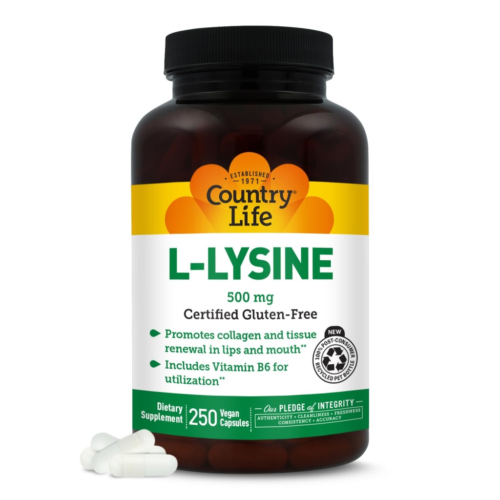Ülke Life L-Lysine 500 mg ile B-6, Destekler Immune Health, Lips and Mouth, 250 Vegan Capsules, sertifikalı Gluten Free, sertifikalı Vegan Vegan