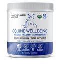 Om Mushroom Matrix - Equine | Wellness | USA Grown Human-Grade Organic Mushroom Toz Show Güvenli At Supplement | Wellness, Recovery, & Senior Support | 300 Grams, 10.5 oz