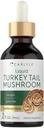 Carlyle Türkiye Tail Mushroom Extract Liquid Tincture | 2 FL Oz | Vegetarian Drops | Non-GMO, Gluten Free Supplement Supplement
