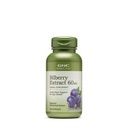 GNC Herbal Plus Bilberry Extract Supplement, Vegetarian, Supports Eye and Health, 100 Hizmet