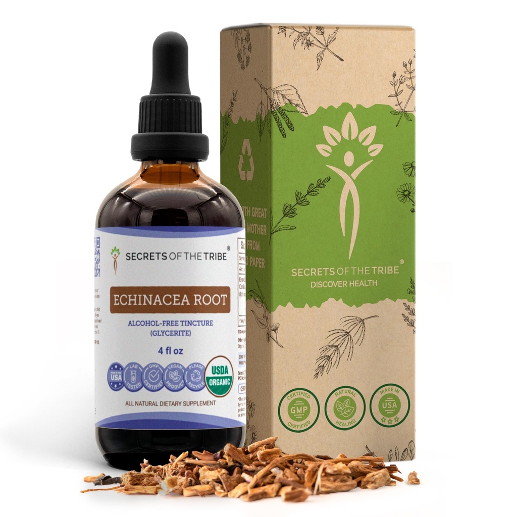 Echinacea Root USDA Organic Tincture | Alkol Özgür Tür, Yüksek Lisans Herbal Drops, Immune System Health | %100 sertifikalı Organik Echinacea Root (Echinacea Purpurea) 4 oz