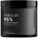 Erkekler için Tribulus Terrestris - Ultra High Potency 25:1% 95 Saponins - 1300 mg Pure & Interd Formula - Üçüncü Taraflı Lab Saf ve Kalite için Test Edildi - 240 Capsules
