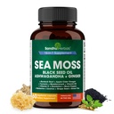 SANDHUHERBALS Sea Moss Capsules with Black Seed Oil Ashwagandha Ginger Burdock Root | Advanced Seamoss 60 | Tüm Erkekler Kadınlar Yaşıyor