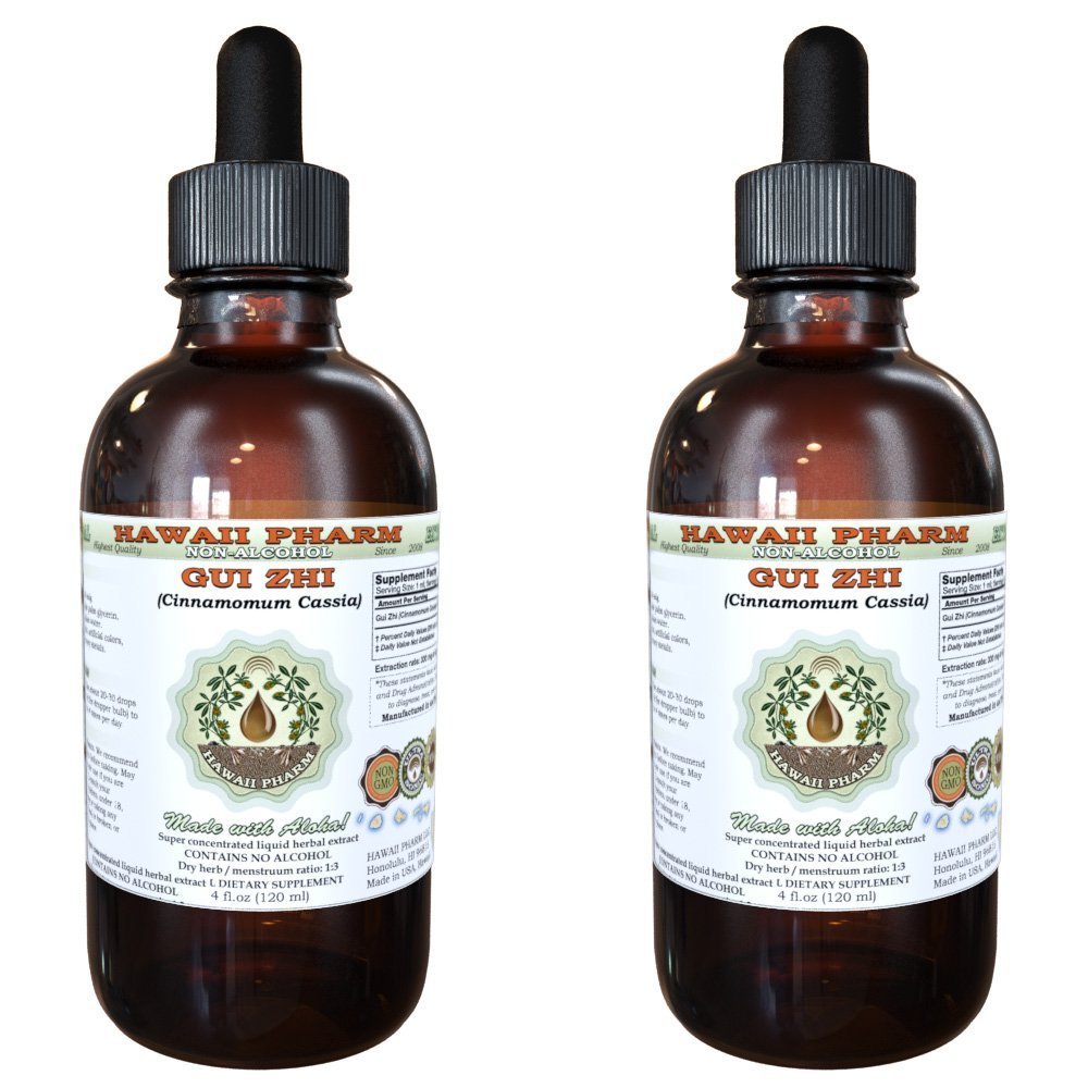 Hawaii Pharm GUI Zhi Alcohol-Free Liquid Extract, GUI Zhi, Cinnamon (Cinnamomum Cassia) Twig Glycerite Natural Herbal Supplement 2x2 oz