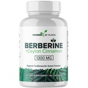 Pure Berberine Supplement - Metabolism & Immune System Support için Ceylon Cinnamon ile 1300 mg Berberine - 60 Hizmet