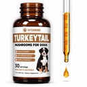 Türkiye Köpekler için Tail Mushroom | Immune Sistemini artırmak için yardım et, sağlıklı bir prebiyotik ve çok daha fazlası | Türkiye Köpekler için | Köpekler için Mushrooms | Dog Mushroom Supplements | 1 fl oz
