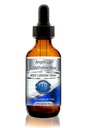 Yeni M ESP Blue %1 Wtih Colloidal Silver Angels Lab |USP-Grade Metilthioninium Chloride Sıvı | Beyin Fonksiyonu ve Bilişsel Sağlık için Yüksek Boyut Diyet Tamam | 2oz Glass Dropper Şişe...