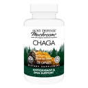 Host Defense Chaga Capsules - Immune System Support Supplement - Chaga Mushroom Capsules for Antioksi Activity Support - Diyetik Mushroom Supplement - 120 Capsules (60 Hizmetler)*