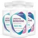 Berberine HCL Supplement 1500 mg - High Bioavailability Liposomal Berberine Capsules for Women and Men, AMPK Activator for Cardiovascular Health, Sugar-Free, Non-GMO,180 Softgels