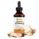 Maxx Herb Astragalus Kökleri - Max Strength Liquid Tincture Absorbs Immune Support and mental Clarity - 4 Oz Şişe (60 Hizmet)
