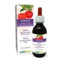 Doğalma Acerola (Malpighia glabra) Meyvesi Alkol Özgür Tinkture - C vitamininde Zengin - Drops'ta 4 fl oz Sıvı Türleme - Herbal Supplement - Vegan