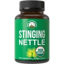 USDA Organik Sting Nettle Vegan Capsules, Prostate, Saç Büyümesi, Antioksit için Nettle Leaf Tozunu Stinging Nettle Daha İyi Kök veya Tohum Üretimi. Plantive Herb Supplement Tabletleri, 60 Pills