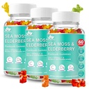 BIO VITALICA Deniz Moss Gummies Elderberry BioVitalica - C D + çinko - İrlandalı Seamoss Vegan Gummy with Sea Moss Gel & Toz for Immunity, Detox - Yetişkinler ve Çocuklar için (3Packs)