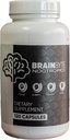 Erkekler ve Kadınlar için All-in-One Nootropic Supplement | Caffeine-Free Focus with L-Theanine & Phosphatidylserine (120)