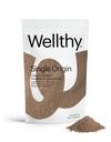 Wellthy Collagen Superfood Toz, Stres ve Fatigue, Cacao, Mushroom Toz - Organik Chaga & Reishi Türleri, Sertifikalı Organik Matcha, Allergen-Free & Non-GMOMO